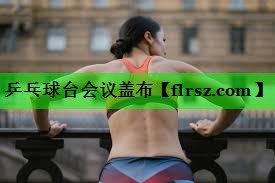 乒乓球台会议盖布