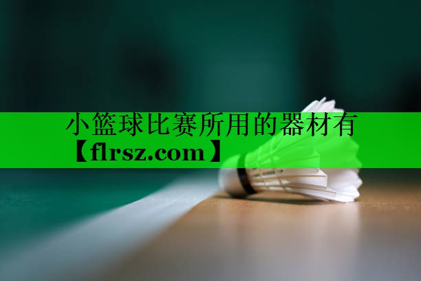 小篮球比赛所用的器材有