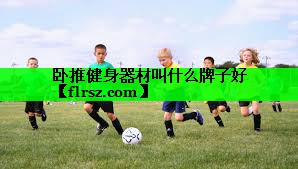 卧推健身器材叫什么牌子好