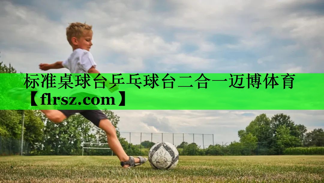 标准桌球台乒乓球台二合一迈博体育
