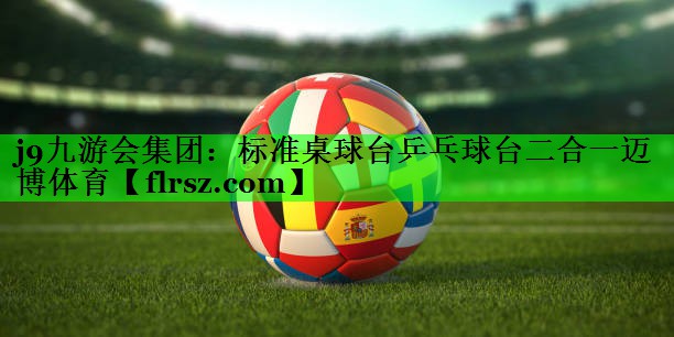 j9九游会集团:标准桌球台乒乓球台二合一迈博体育