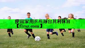 便宜家用乒乓球台其利体育