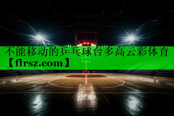 不能移动的乒乓球台多高云彩体育