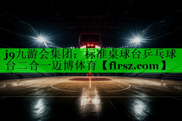 j9九游会集团：标准桌球台乒乓球台二合一迈博体育