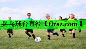 乒乓球台直径