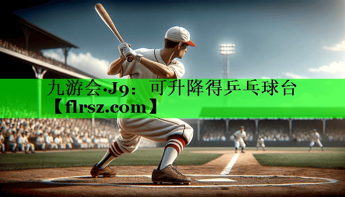 可升降得乒乓球台