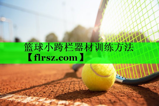 篮球小跨栏器材训练方法