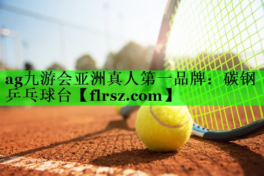 碳钢乒乓球台