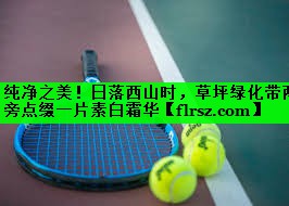 纯净之美！日落西山时，草坪绿化带两旁点缀一片素白霜华