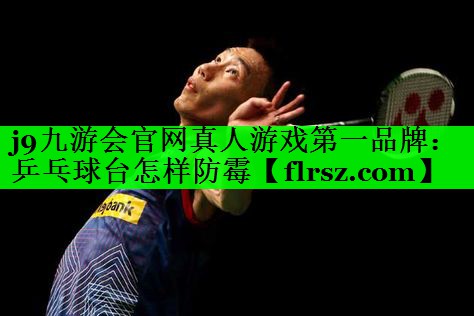乒乓球台怎样防霉
