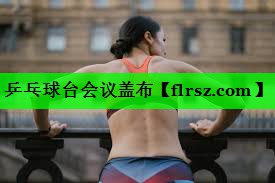 乒乓球台会议盖布