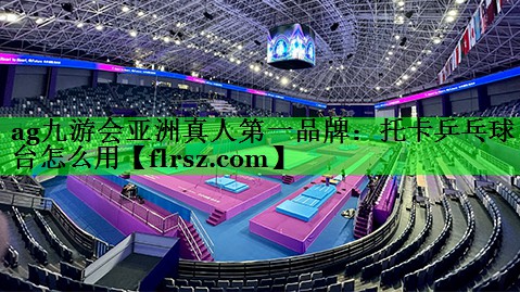 托卡乒乓球台怎么用