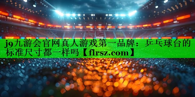 乒乓球台的标准尺寸都一样吗