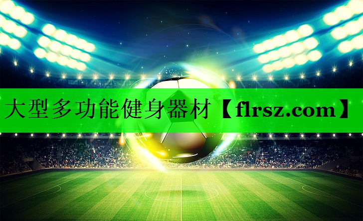 大型多功能健身器材