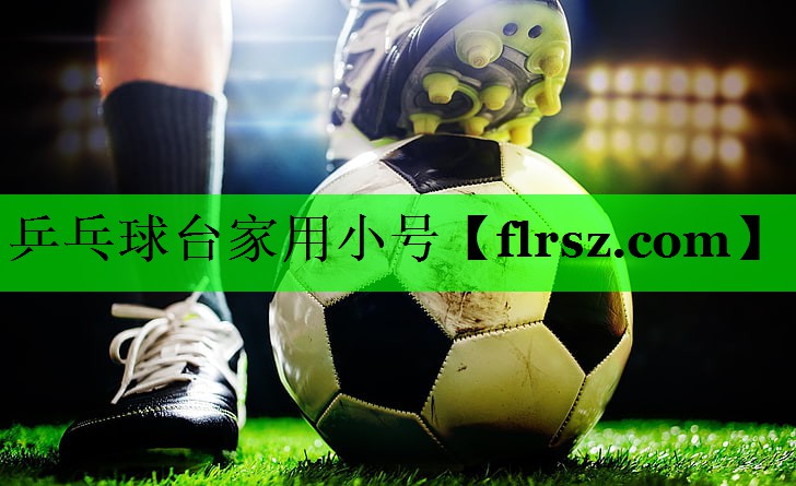 乒乓球台家用小号