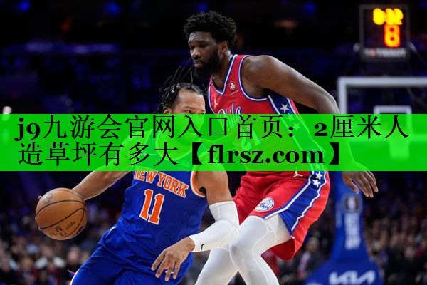 2厘米人造草坪有多大