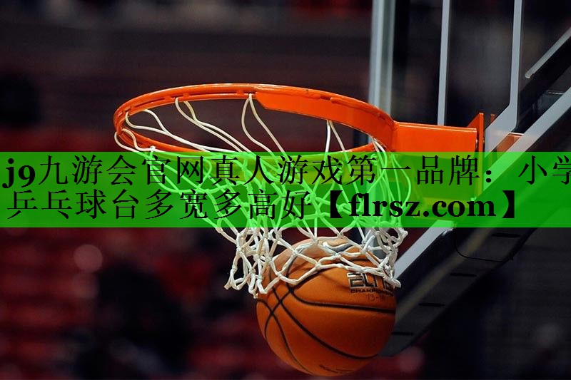 小学乒乓球台多宽多高好