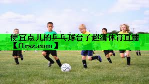 便宜点儿的乒乓球台子超清体育直播