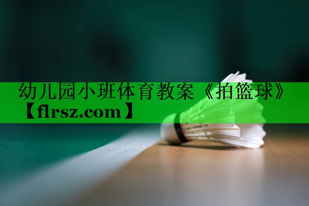 幼儿园小班体育教案《拍篮球》