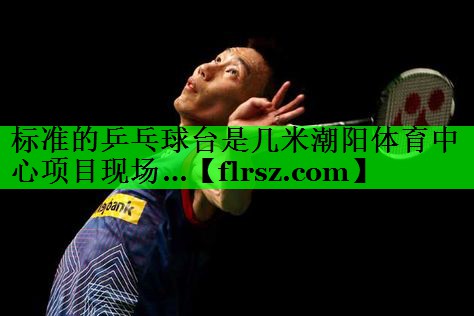 标准的乒乓球台是几米潮阳体育中心项目现场…