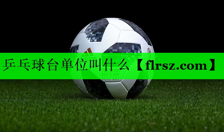 乒乓球台单位叫什么