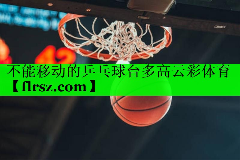 不能移动的乒乓球台多高云彩体育
