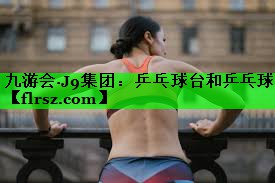 乒乓球台和乒乓球