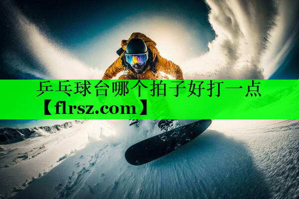 乒乓球台哪个拍子好打一点