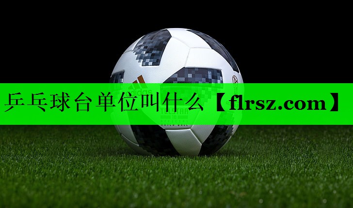乒乓球台单位叫什么