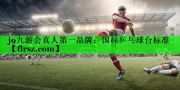 国标乒乓球台标准