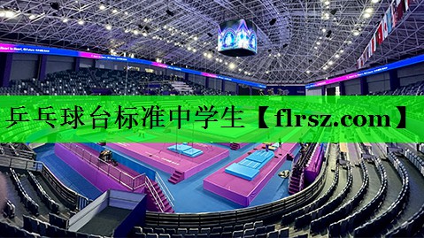 乒乓球台标准中学生